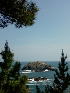 画像-0018.jpg