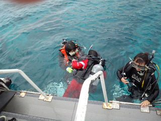 IMG_20120622_123026.jpg