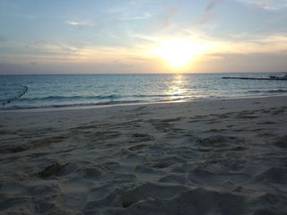 IMG_20120624_191024.jpg